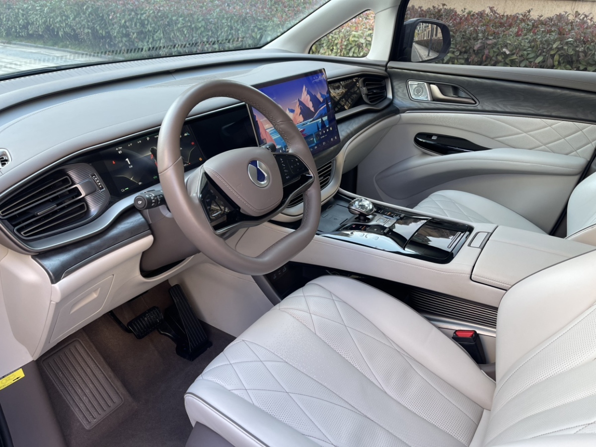 Denza D9 2023 #8 Denza D9 2023 car image #8