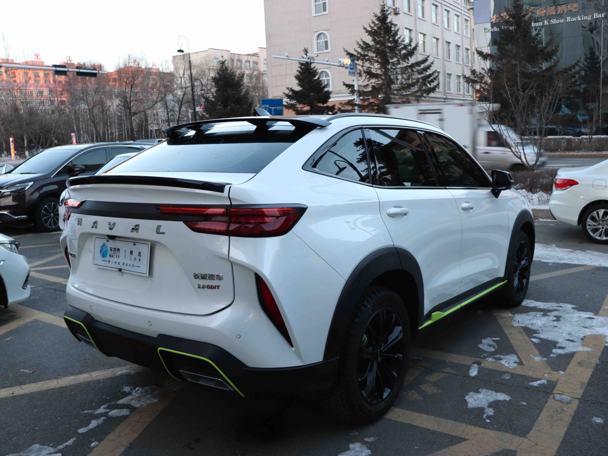 Haval H6S 2022 car image #8