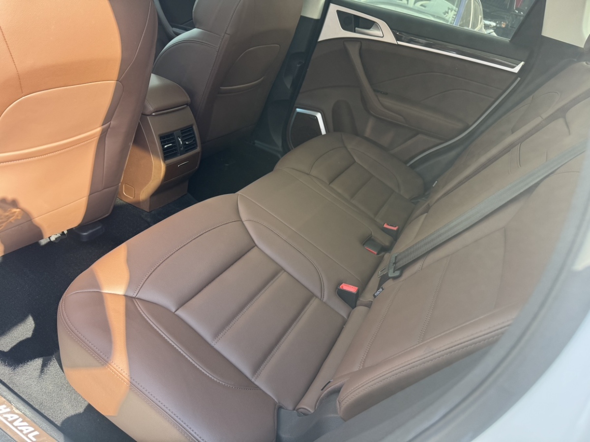 Haval H7 2020 car image #8