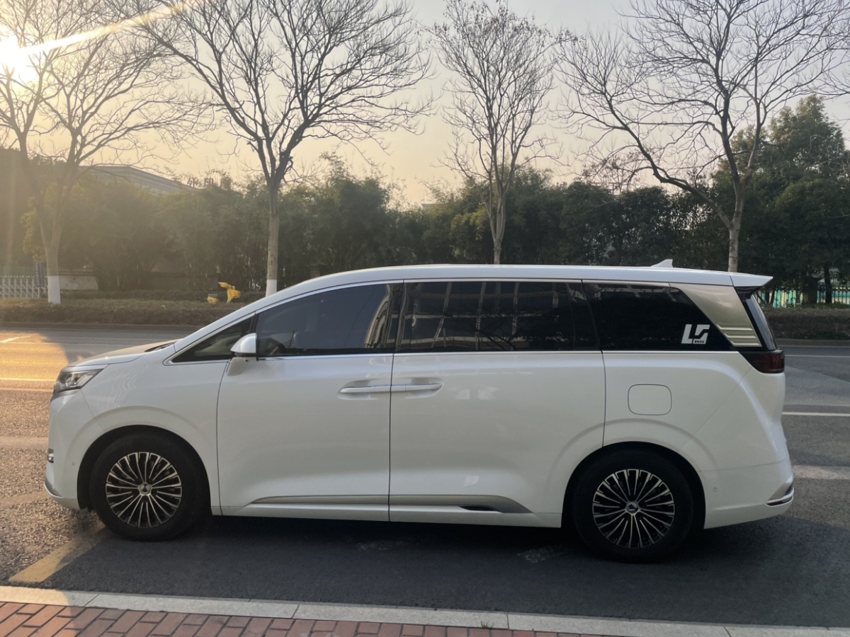 腾势 腾势D9 2023 汽车图片 #8