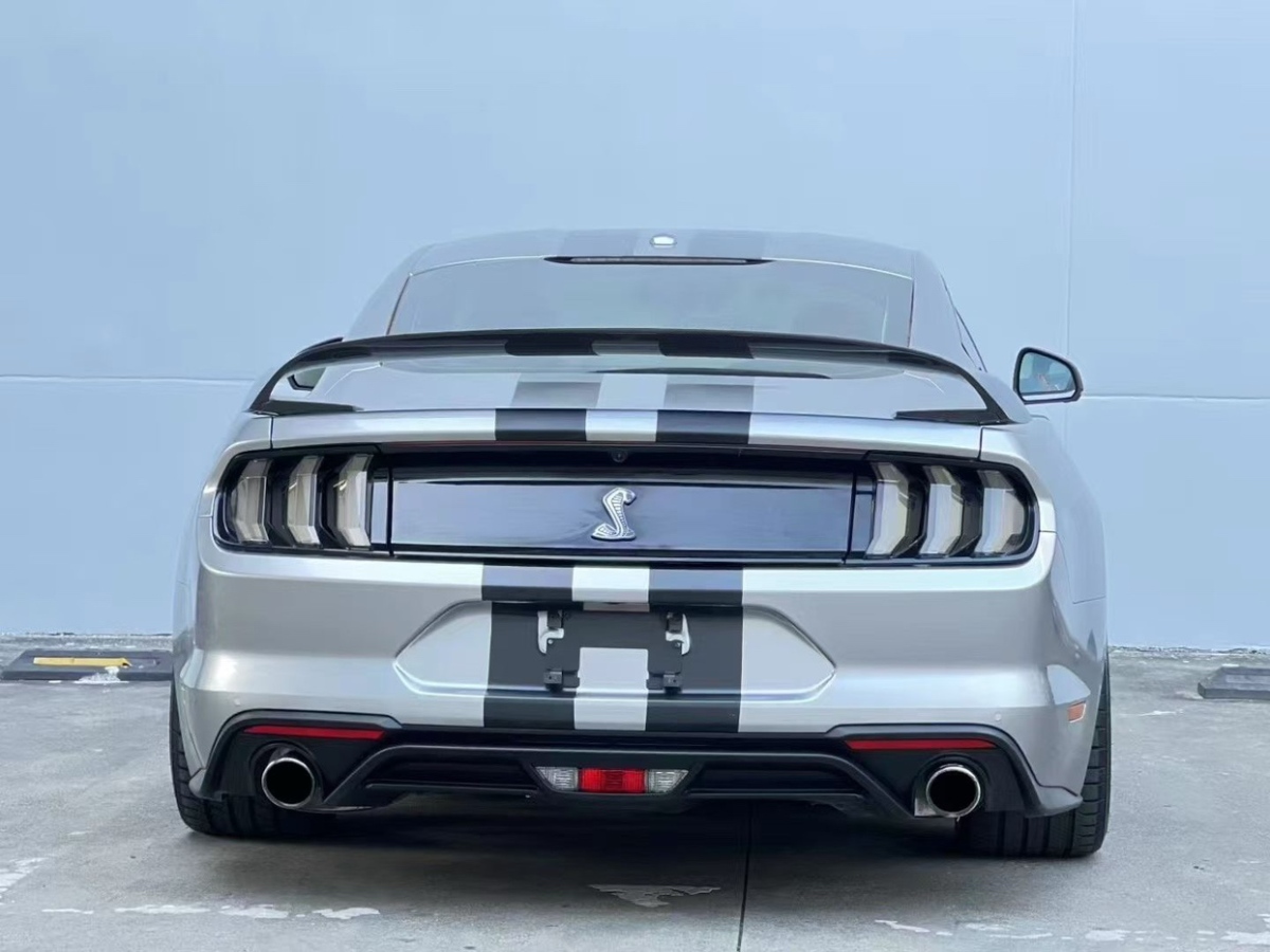 Ford 2021 car image #8