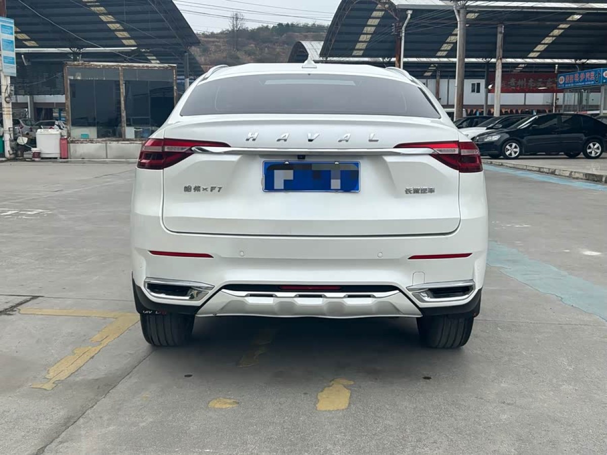 Haval 2020 car image #8