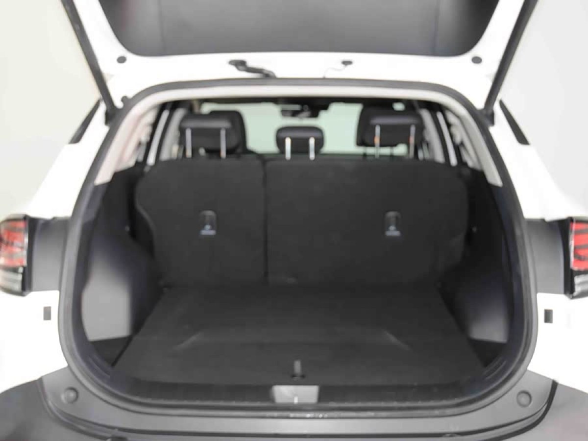Kia Sportage 2024 #8 Kia Sportage 2024 immagine di auto #8
