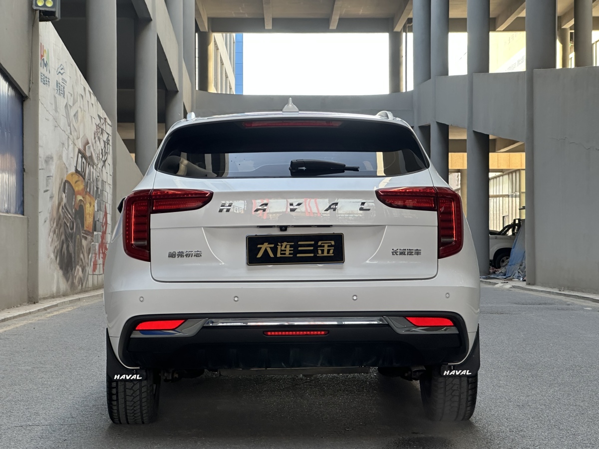 Haval Jolion 2021 #8 Haval Jolion 2021 imagen de coche #8