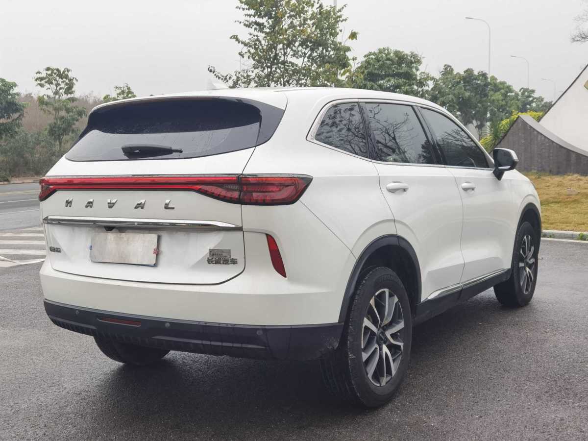 Haval H6 2021 #8 Haval H6 2021 car image #8