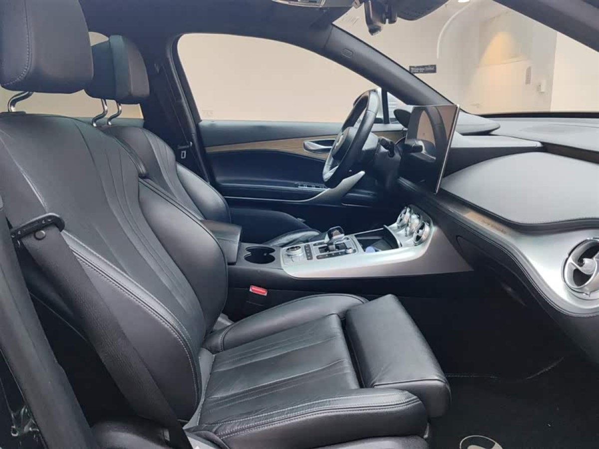 Denza X 2021 изображение автомобиля #8