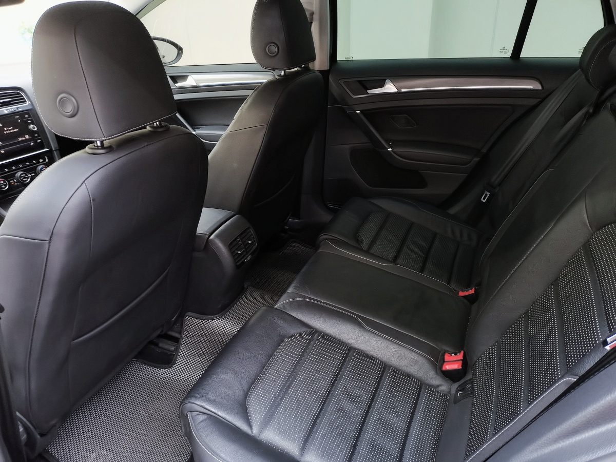 大众 高尔夫新能源(进口) 2019 汽车图片 #8