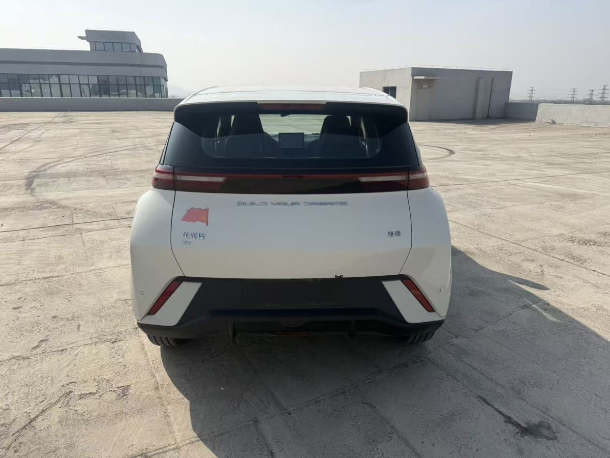 BYD Seagull 2024 imagen de coche #8