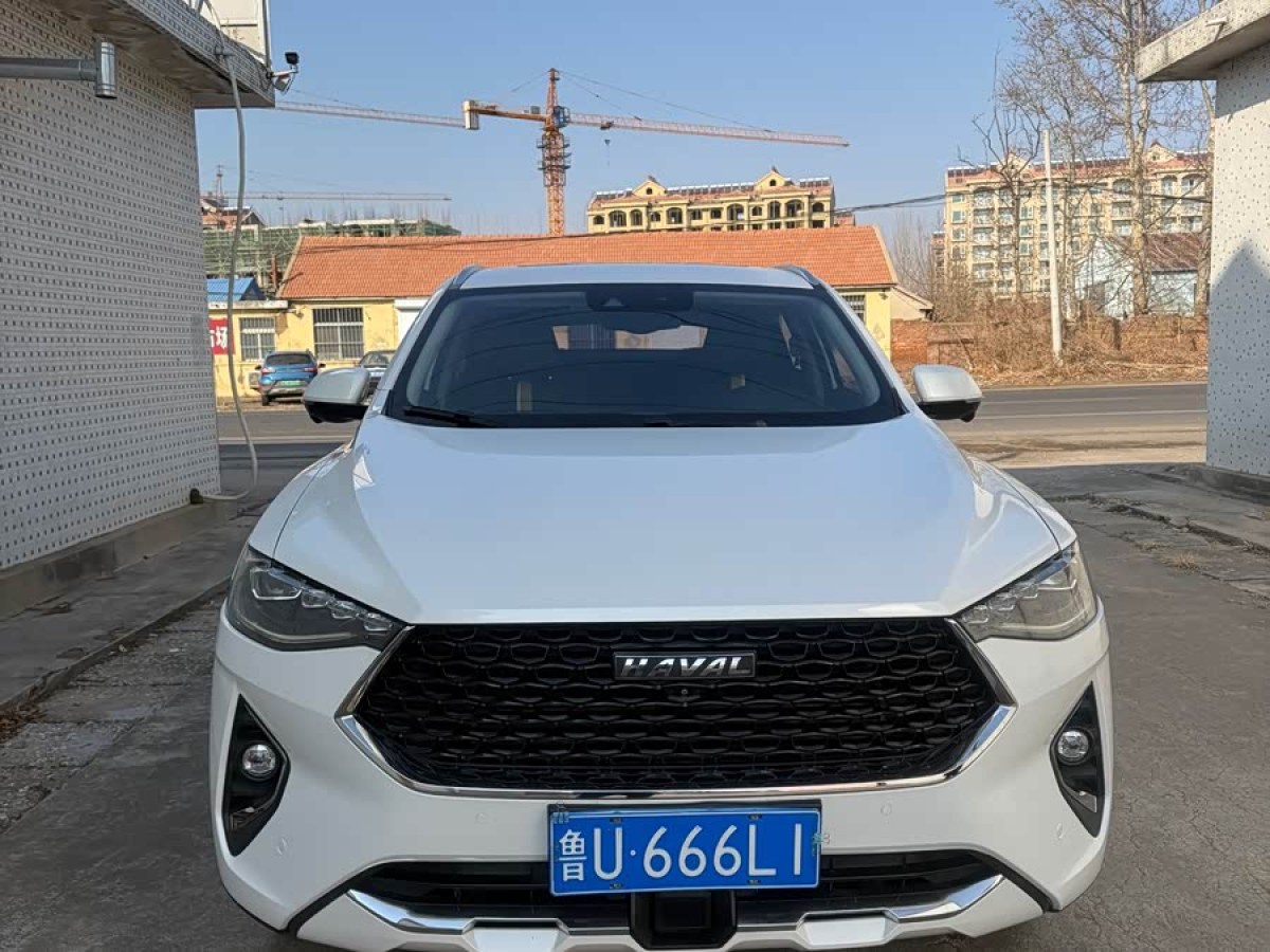 Haval F7x 2019 immagine di auto #8