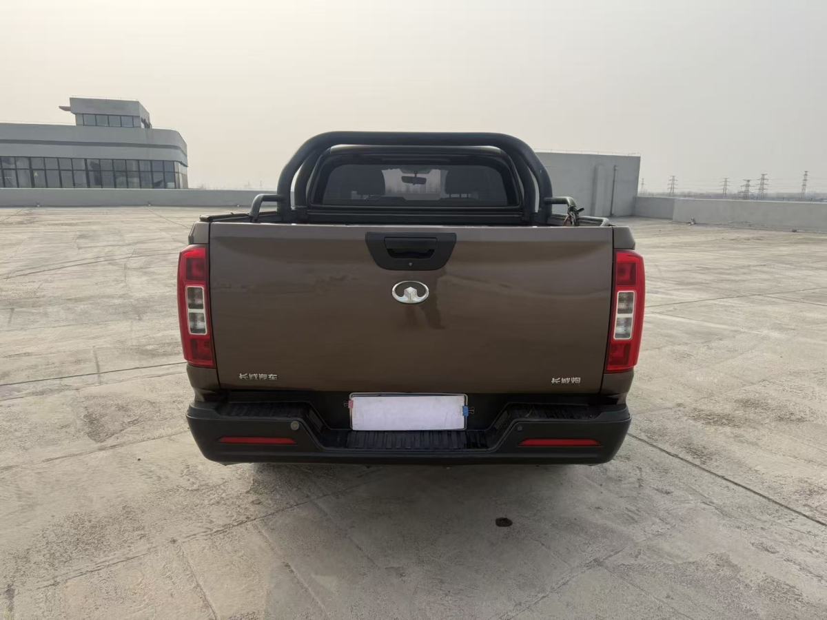 Great Wall Poer 2021 car image #8