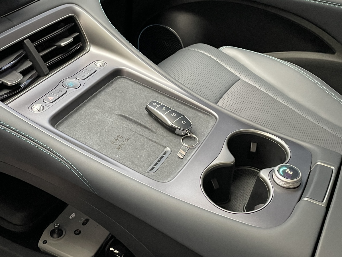 BYD Sea Lion 07 DM-i 2025 car image #8