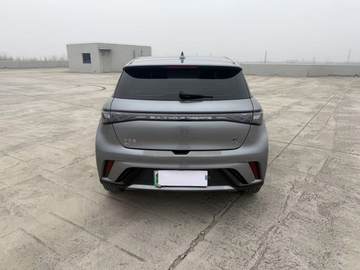 BYD Dolphin 2024 #8 BYD Dolphin 2024 immagine di auto #8