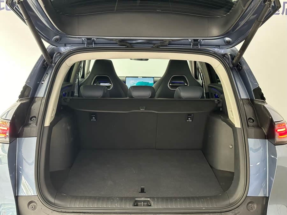 BYD Sea Lion 07 DM-i 2025 car image #8