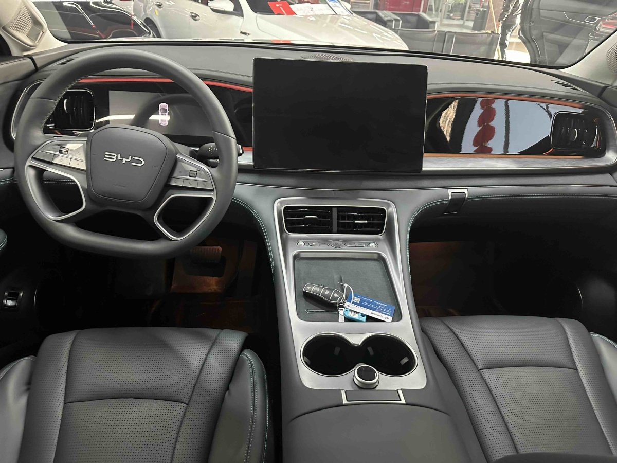 BYD Sea Lion 07 DM-i 2025 car image #8