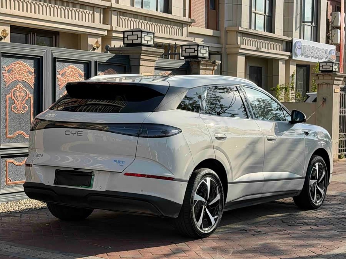 BYD Sea Lion 06 New Energy 2025 car image #8