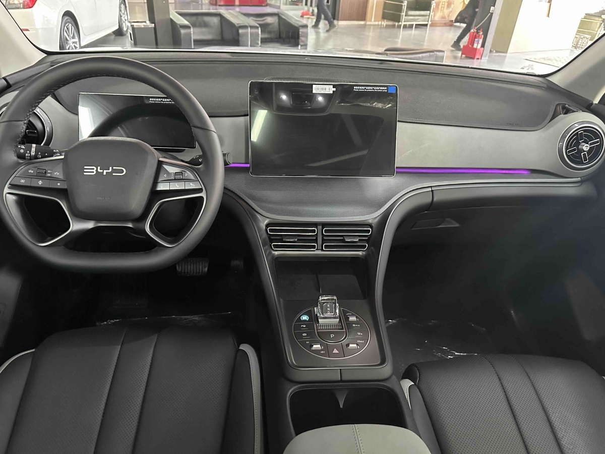 BYD Sea Lion 05 DM-i 2025 image de voiture #8