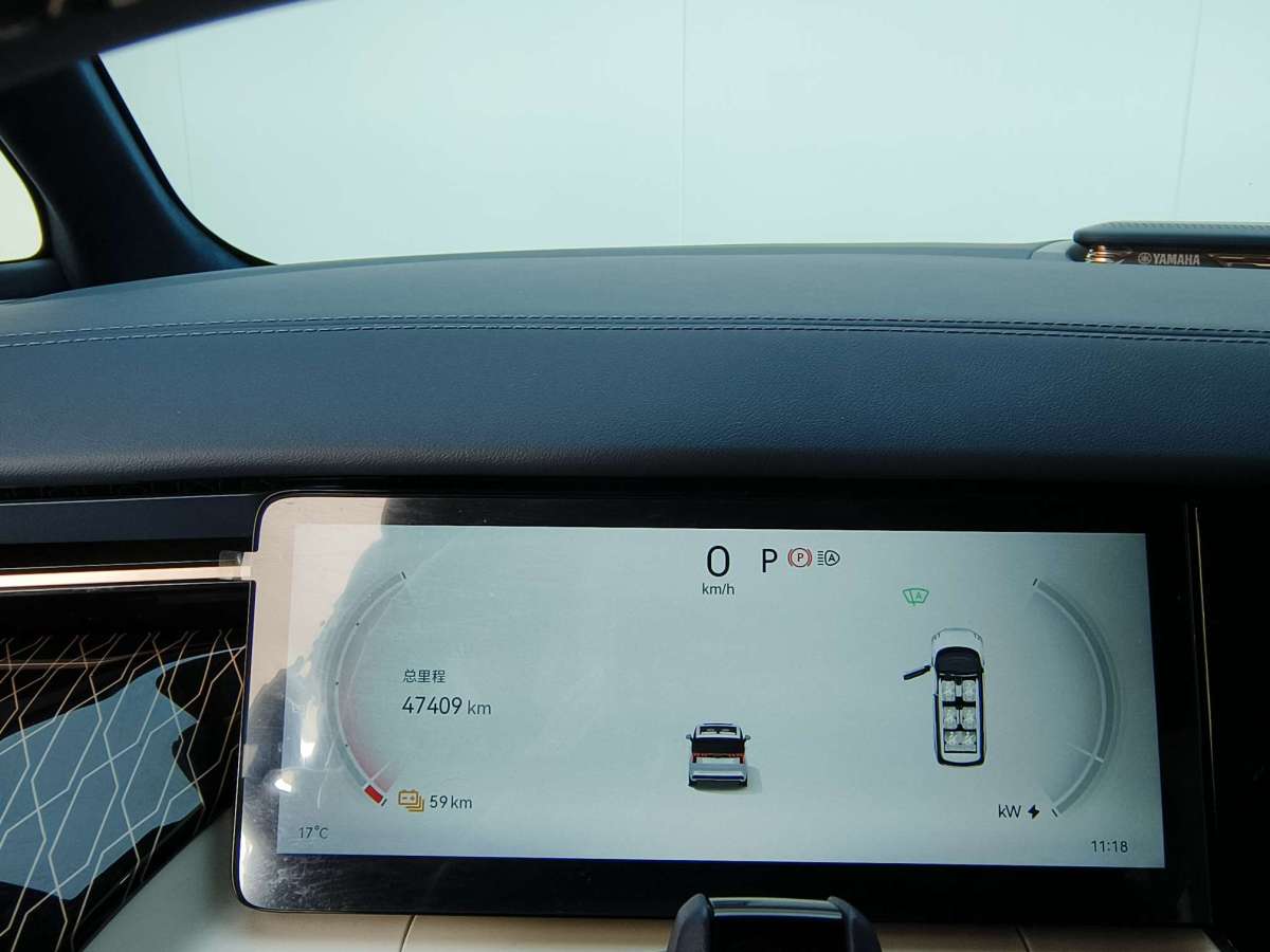 极氪 极氪009 2024 汽车图片 #8