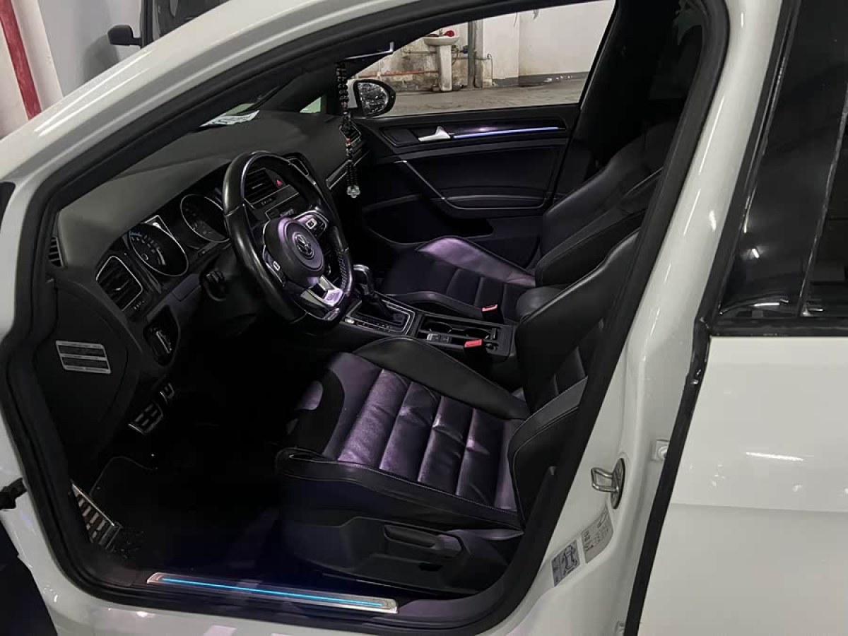 大众 高尔夫新能源(进口) 2016 汽车图片 #8