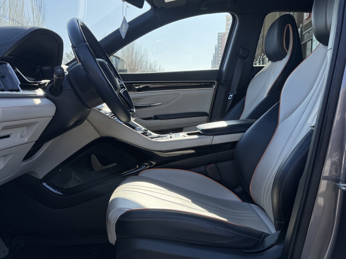 BYD Song Plus New Energy 2022 car image #8