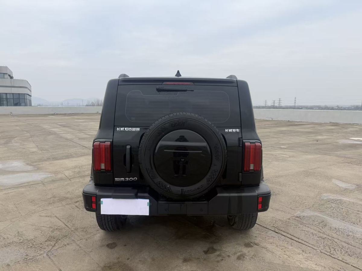 Tank 300 2024 изображение автомобиля #8