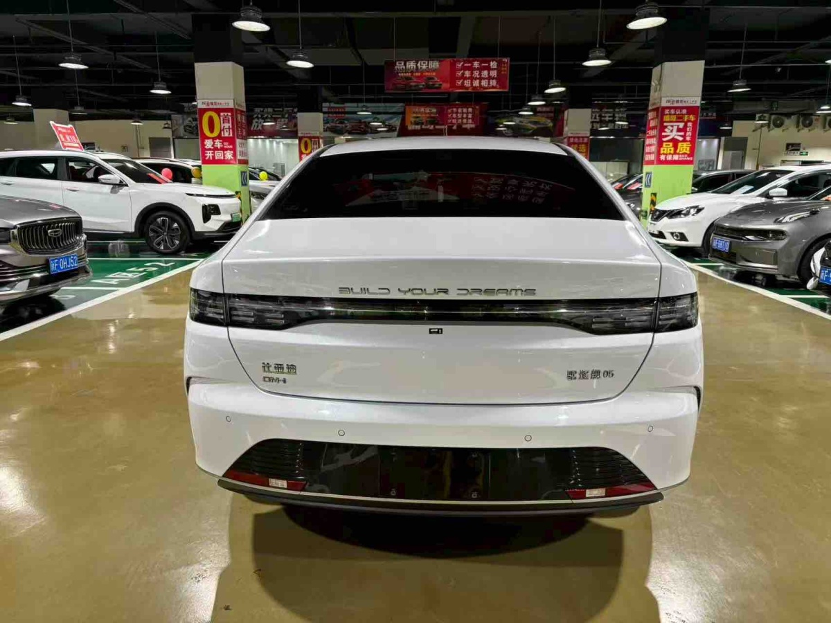 BYD Destroyer 05 2024 imagen de coche #8