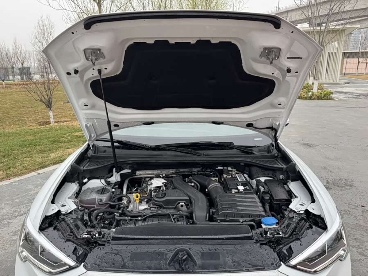 Audi 2025 car image #8