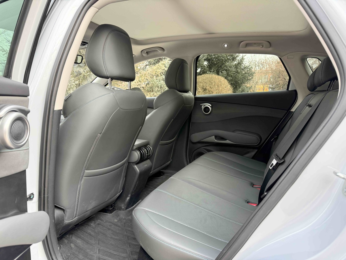 BYD Yuan Plus 2025 car image #8