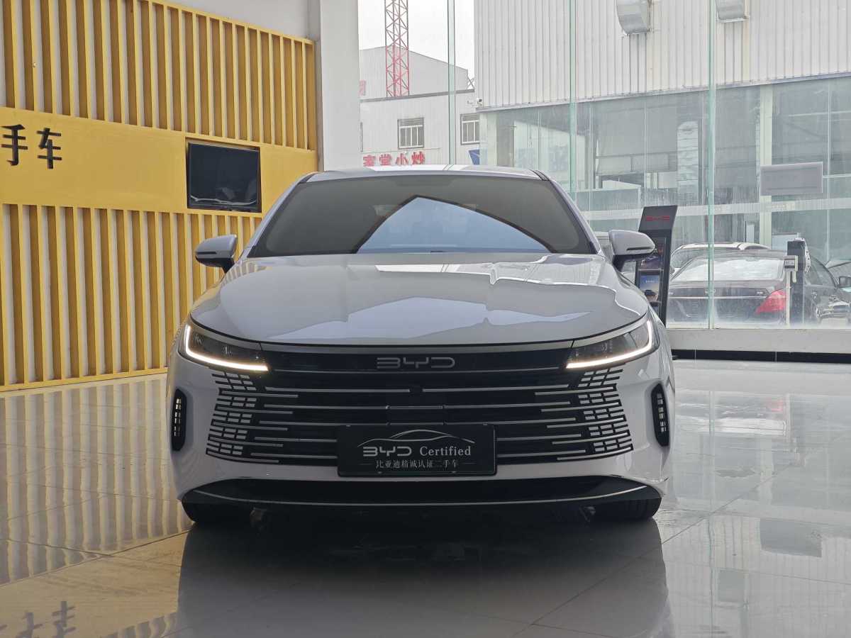 BYD Destroyer 05 2024 imagen de coche #8