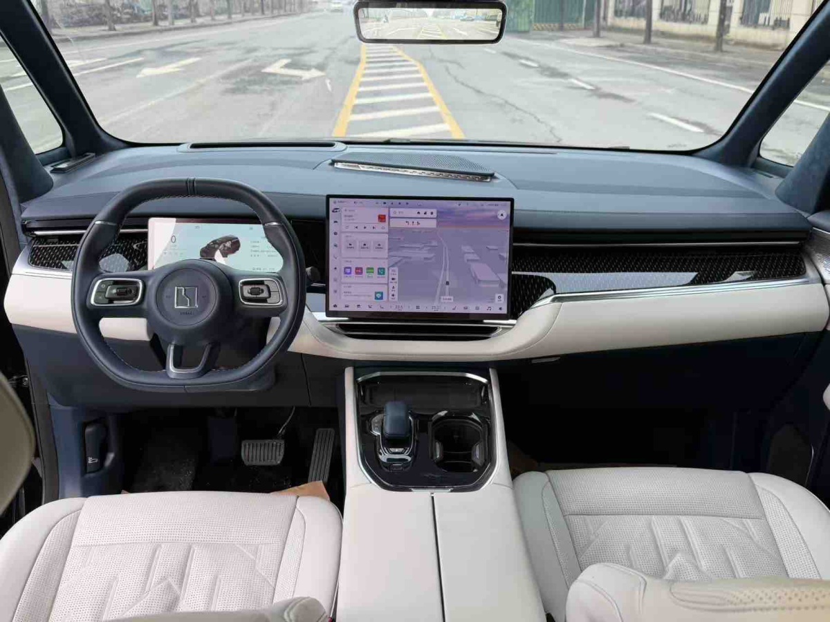 极氪 极氪009 2024 汽车图片 #8