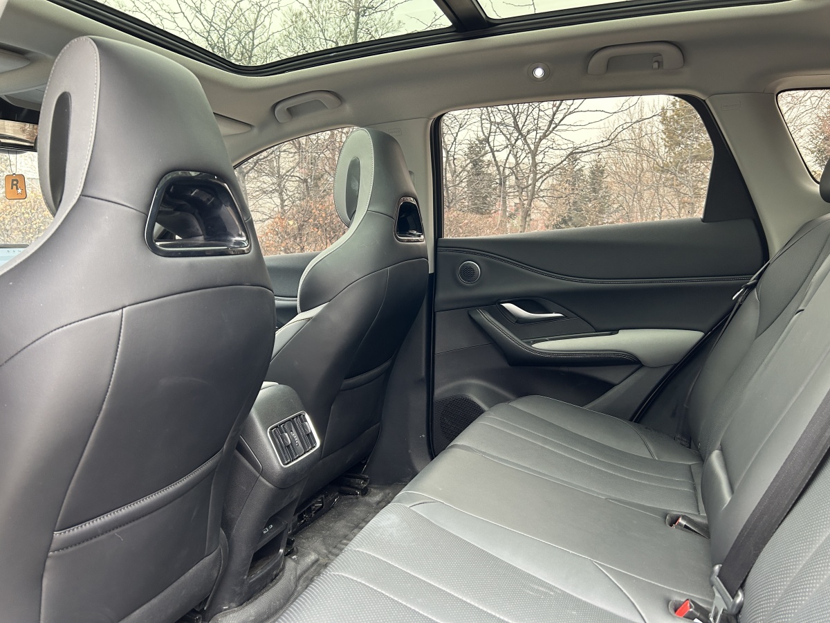 BYD Sea Lion 05 DM-i 2025 car image #8