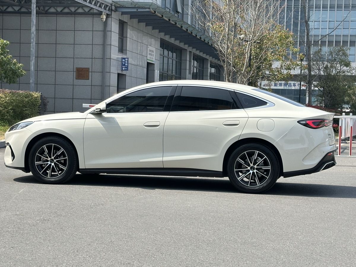 BYD Seal 06 DM-i 2025 car image #8