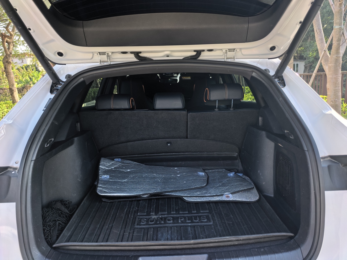 BYD Song Plus New Energy 2021 car image #8