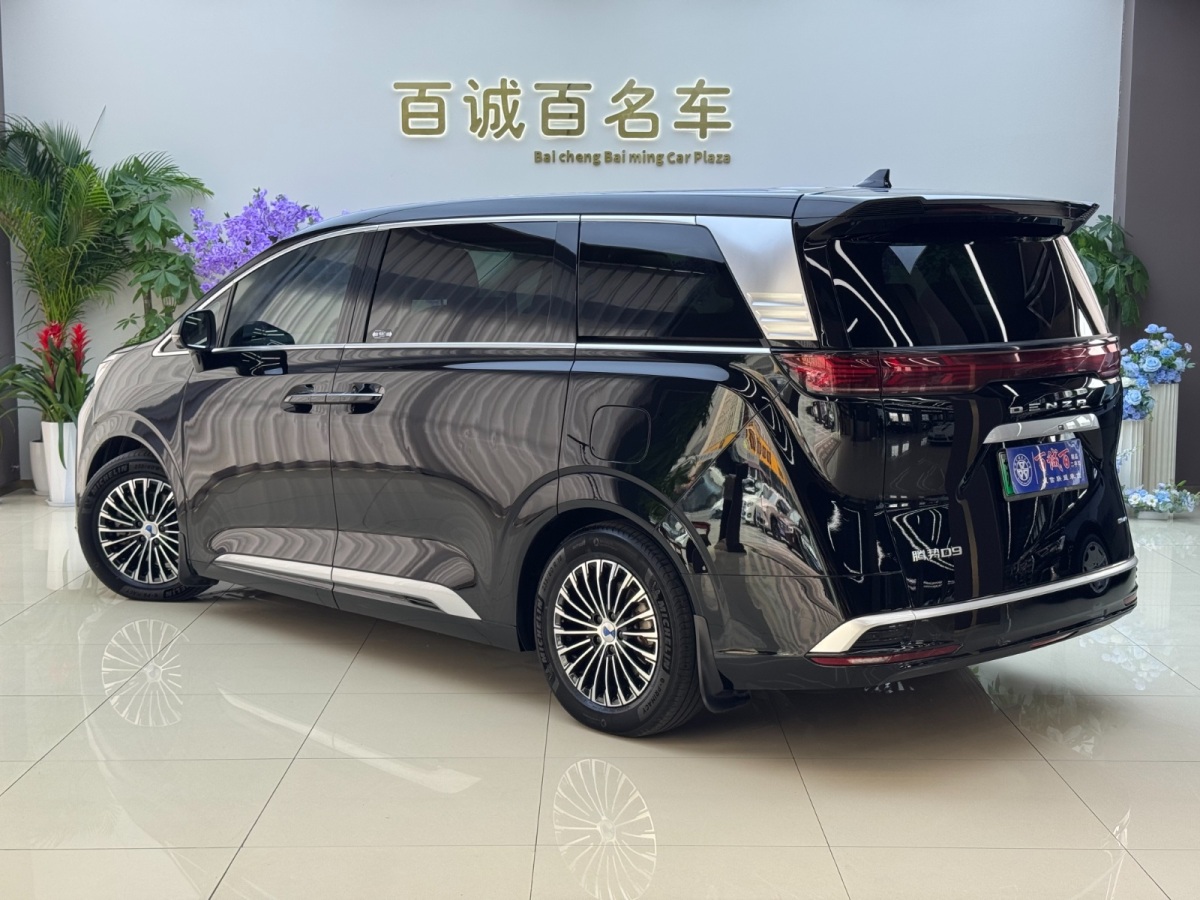 Denza D9 2023 image de voiture #8