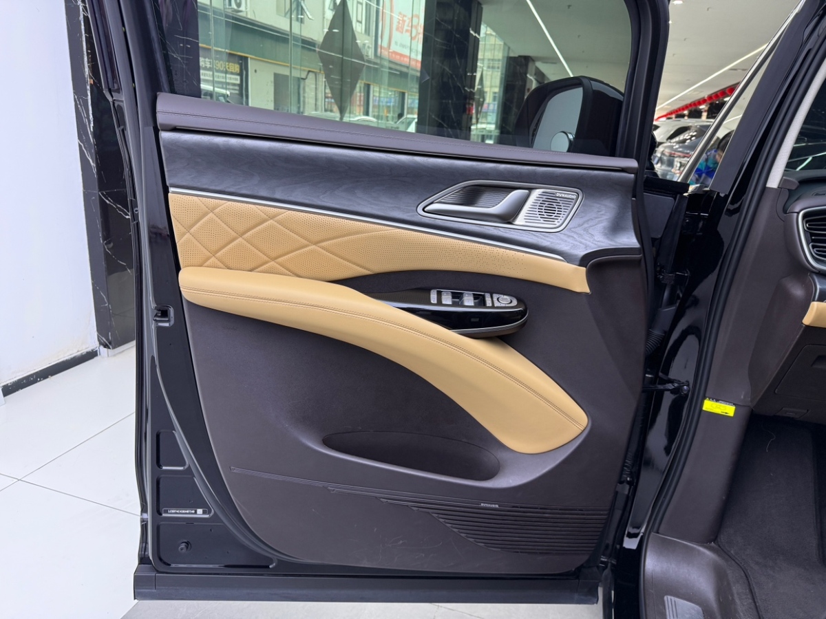 Denza D9 2024 immagine di auto #8