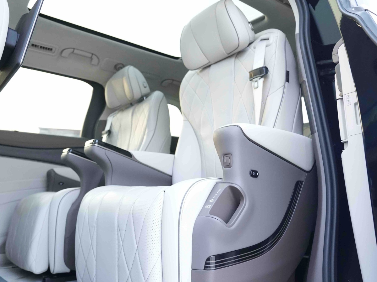 Denza D9 2023 imagem de carro #8