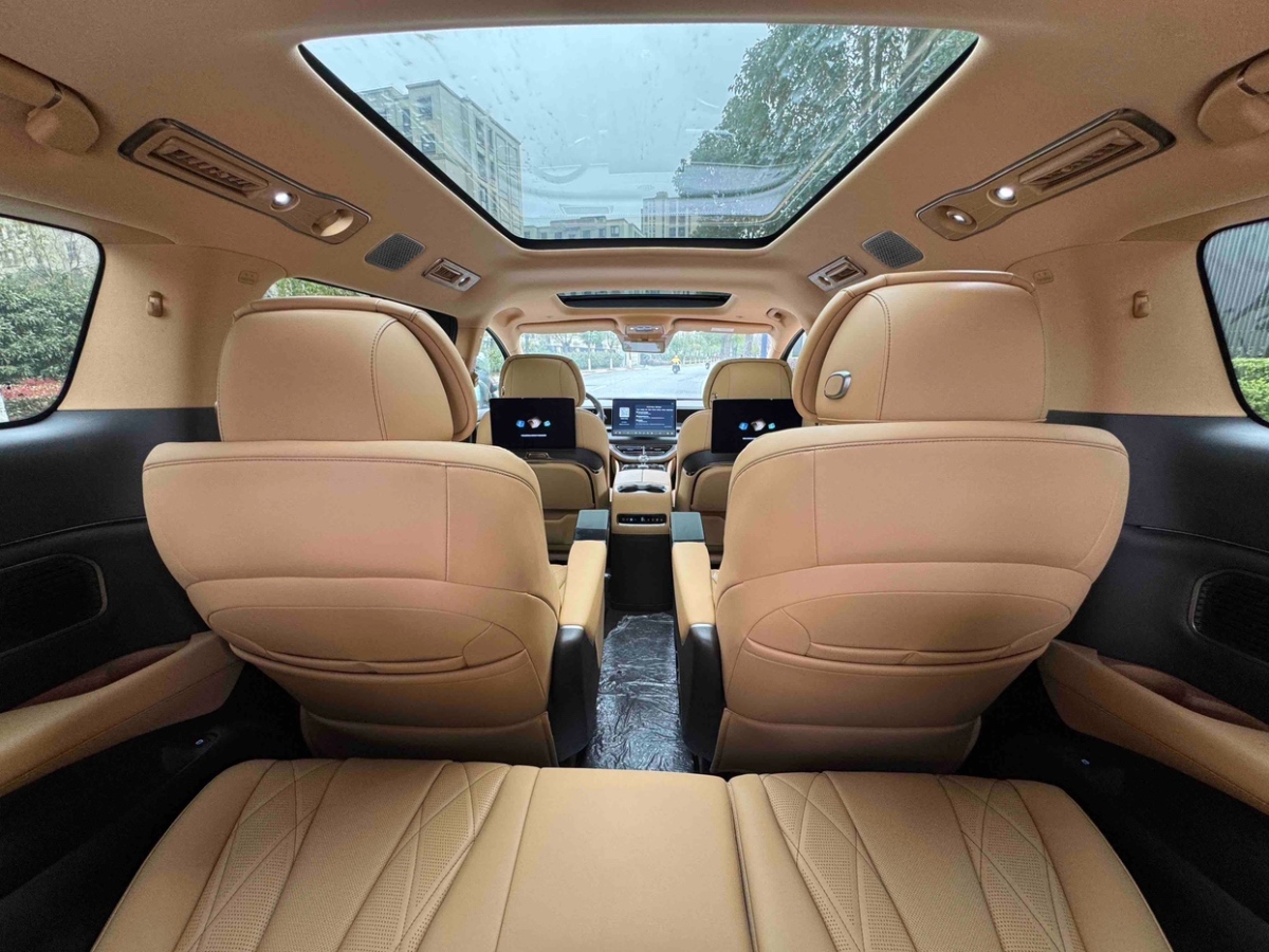 Denza D9 2024 imagen de coche #8