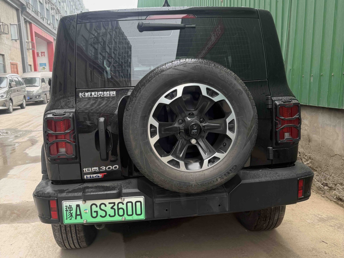 Tank 300 New Energy 2025 car image #8