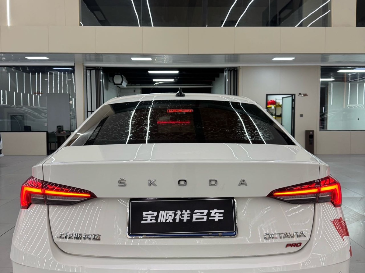 Skoda Octavia 2022 image de voiture #8