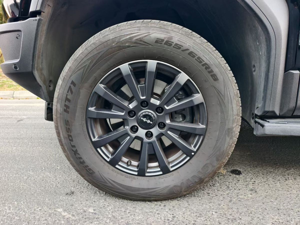 FangChengBao Leopard 5 2025 صورة سيارة #8