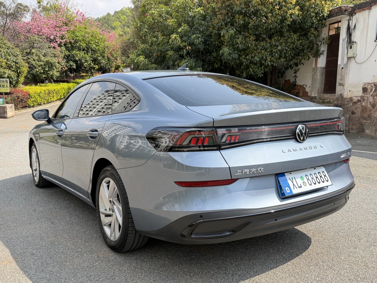 Volkswagen Lamando 2022 car image #8