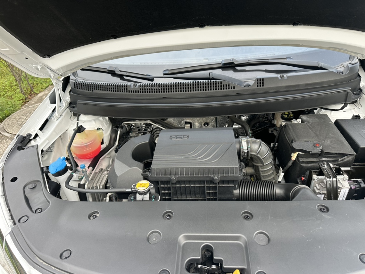 睿蓝汽车 睿蓝汽车X3 PRO 2023 汽车图片 #8