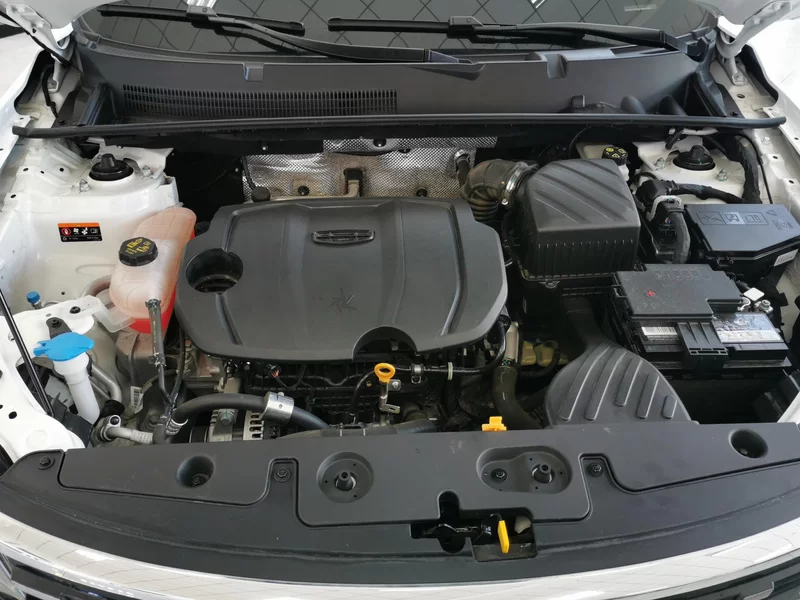 GEELY OkavangoPRO 2024 car image #8