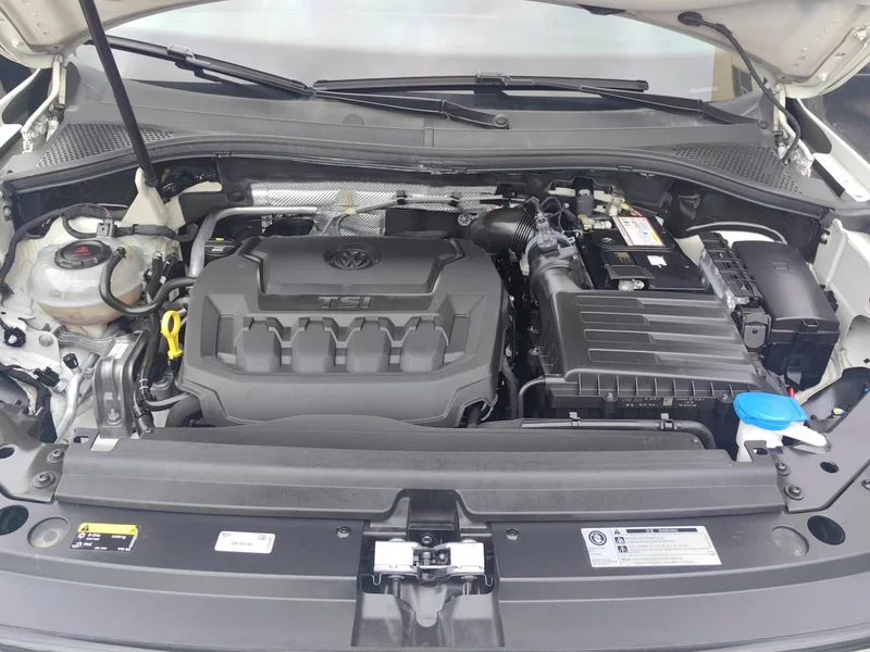 大众 Tiguan 2019 汽车图片 #8