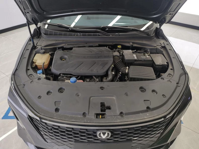 Changan Raeton Plus 2023 car image #8