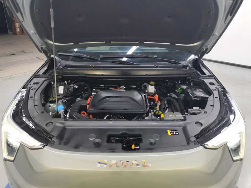 Haval Fierce Dragon 2023 car image #8