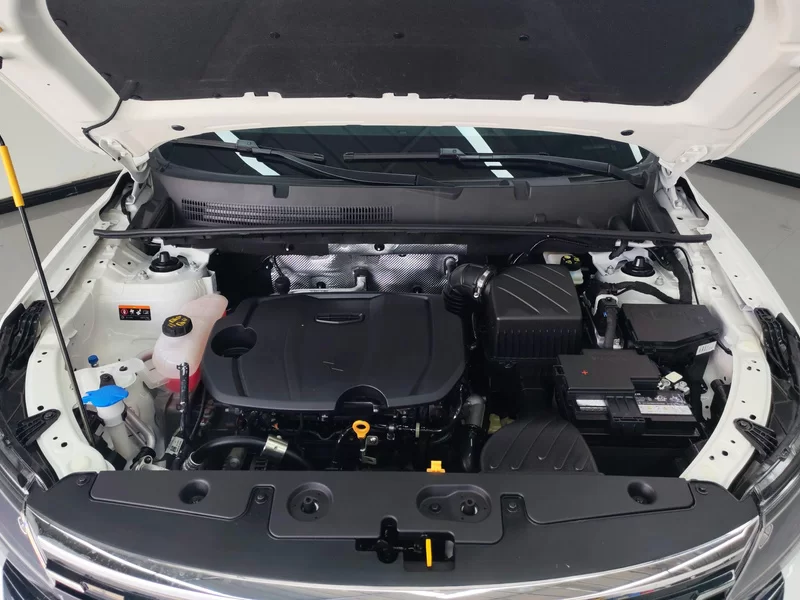 GEELY OkavangoPRO 2024 car image #8