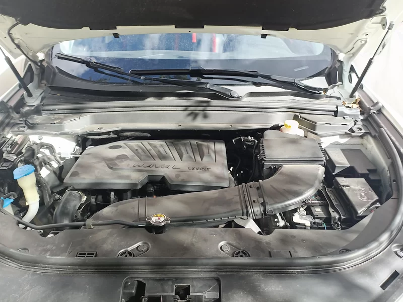 Haval H4 2018 car image #8