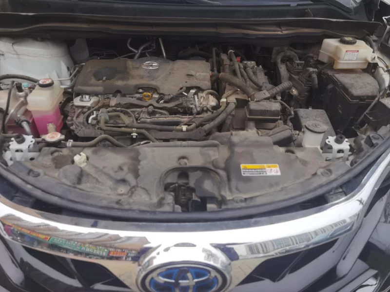 丰田 赛那SIENNA 2022 汽车图片 #8