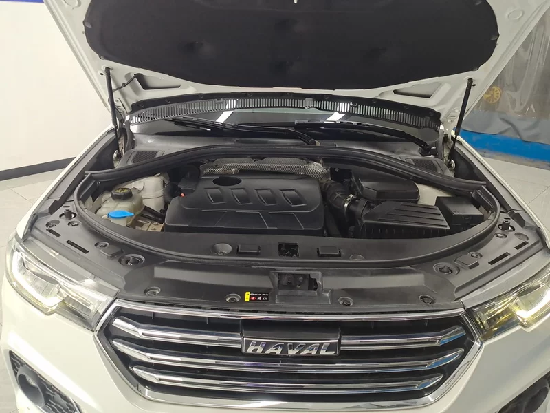 Haval H7 2019 #8 Haval H7 2019 car image #8