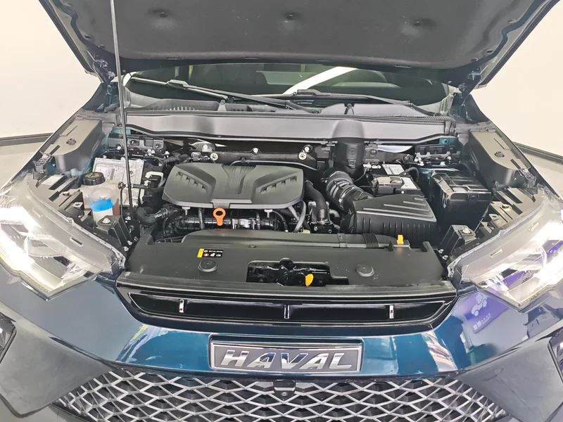 Haval H6S 2021 #8 Haval H6S 2021 car image #8